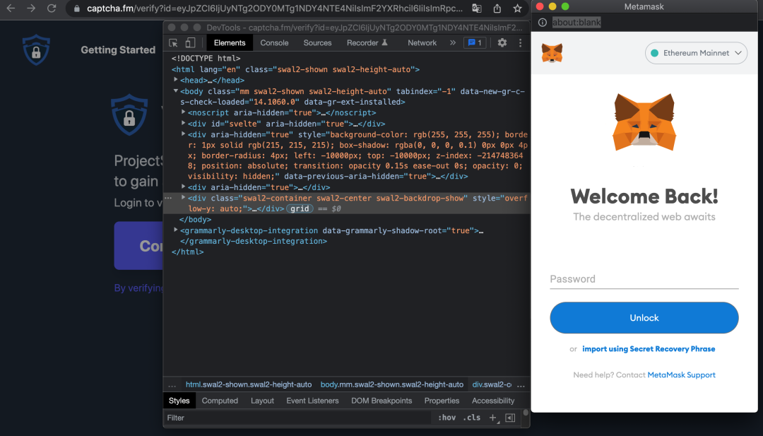 虚假 MetaMask 钱包界面，地址栏显示 about:blank