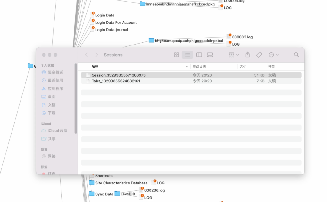 Chrome Sessions 缓存目录